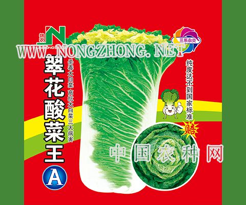 翠花酸菜王A